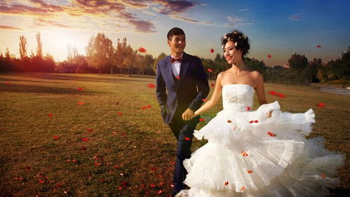 2024北京拍婚纱照多少钱一套,在北京拍婚纱照需要多少钱