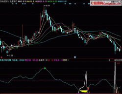 为什么现在炒恒指的人比炒股的人多，哪个好更容易赚钱