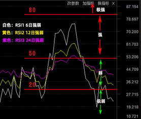 6RSI和12RSI分别指什么？