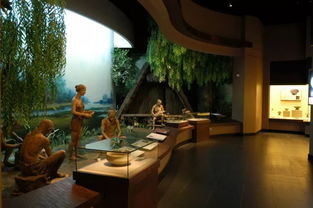 上海青浦博物馆,介绍上海青浦博物馆