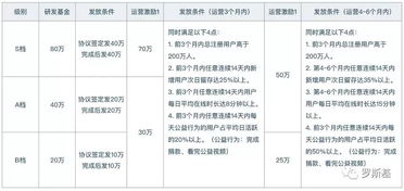 股份的具体分成