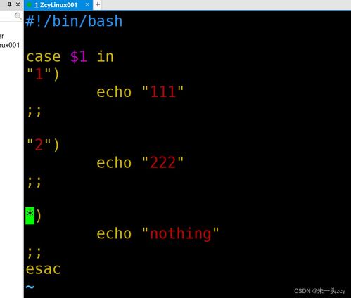 shell编程入门, shell编程入门教程Linux命令脚本编写  第1张