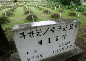 美媒 韩国拟翻修志愿军墓地 以取悦中国游客 