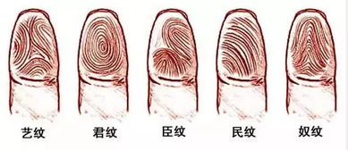 一斗穷二斗富,三斗四斗卖豆腐...你有有几个斗呢