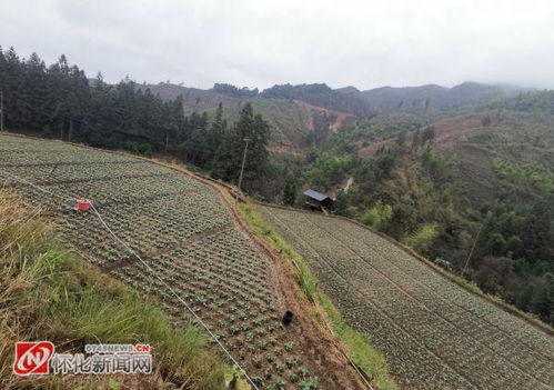 湖南怀化通道大高坪苗族乡