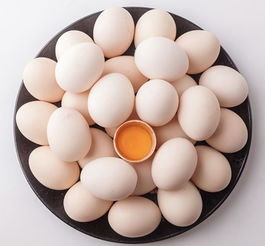 健康 鸡蛋 鸭蛋 鹅蛋 营养差别竟这么大,90 的人吃错了 