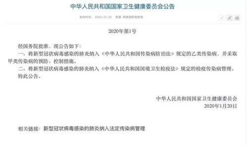 最新 专家建议 武汉能不去就别去 你关心的问题都在这里