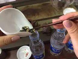 茶 阅 喝茶,还有什么新鲜的