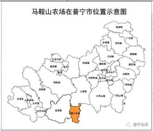 广东揭阳普宁大池农场天气预报