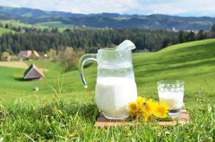 喝牛奶：营养与健康的双重保障