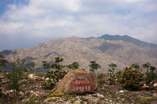 远古的绘画 贺兰山岩画