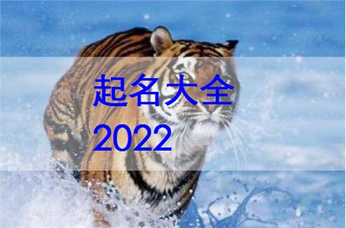 2022年姓昌的男虎宝宝起名参考(2022属虎男孩取名大全)