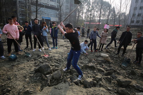 梦见拿锄头去锄草种地(梦见用锄头挖土种地)