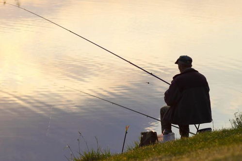 为什么很多老年人对钓鱼上瘾 是因为爱吃鱼 或是这3个原因