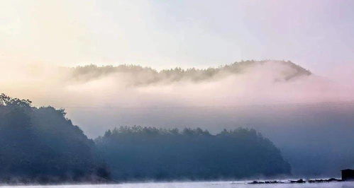 长相思李煜（一重山）翻译