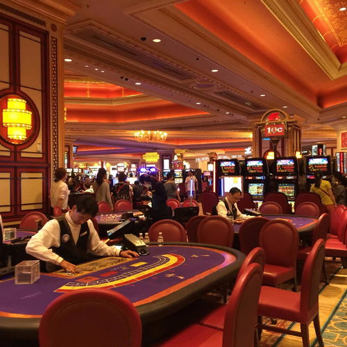 澳门VIP赌厅的独特魅力-赛马、赌博、高级餐饮，全方位体验高品质服务