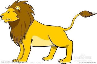 狮子男撩你的征兆表现,狮子男撩你的征兆