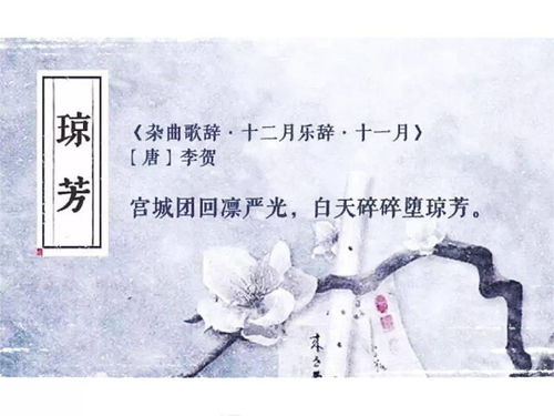 雪小禅名言（银碗里称雪是什么含义？）