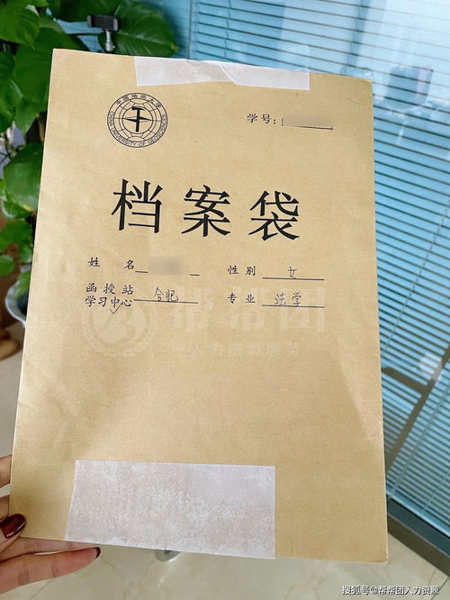 学生学籍档案怎么查询在哪里,学生学籍档