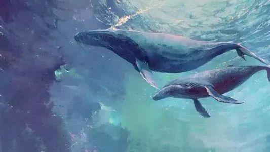 鲸落,是世间悲壮而浪漫的重生