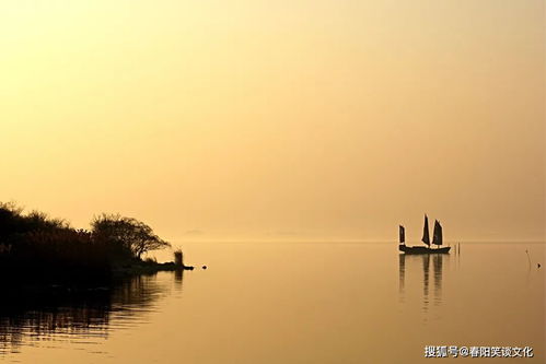 一路走来,岁月无痕,向前看,阳光明媚