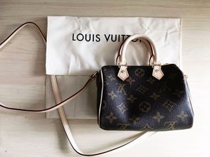 LOUIS VUITTON nano speedy