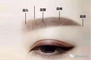 [为什么越来越多的女生选择纹眉?]