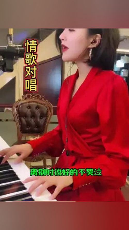 情歌对唱老歌曲大全 经典老歌