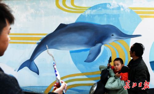武汉最大单体喷绘壁画惊艳亮相，江豚遨游60米高大画板, 你怎么看