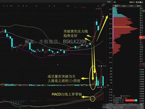 如何运用boll；macd；vol