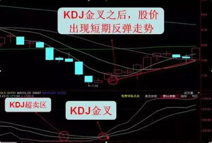 KDJ那个D值大于80%那个数值在哪里看啊？