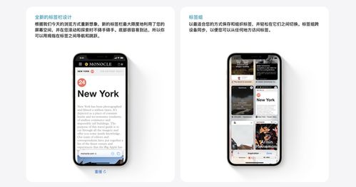 kas币钱包ios,ios系统用什么比特币钱包