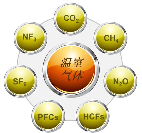 专业解读 碳中和政策解读与行动建议