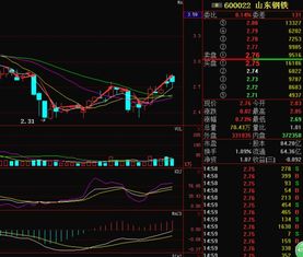 山东钢铁这支股票上涨时我应该选择买入还是卖出