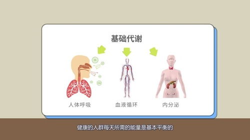 能量平衡是减脂的关键 体重其实就是一个能量平衡的过程 