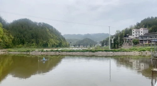 好风水视频,出名牌大学的风水宝地,葬满了祖坟 