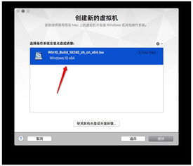 vmware安装win10以后启卡