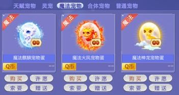 QQ炫舞什么宠物有天赋技能,《QQ炫舞：揭秘拥有天赋技能的神秘宠物》-第3张图片