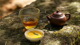 茯砖茶属于什么茶茯砖茶的功效与作用,茯砖茶属于什么茶茯砖茶的功效与作用