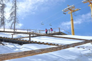 高山滑雪场图片 第6张