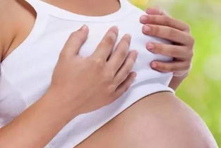 怀孕初期胸部胀痛是什么原因(孕妇乳房胀痛的原因)
