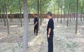 河南 安阳市内黄县森林公安局检查指导 内黄林场防火工作