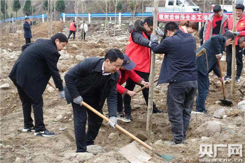 西峡县桑坪镇 植树造林 绿化山乡