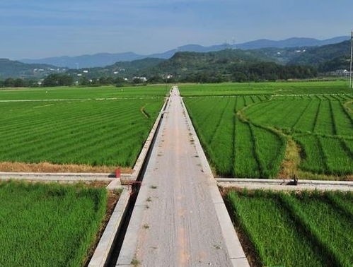 随县2019年高标准农田建设项目即将开工