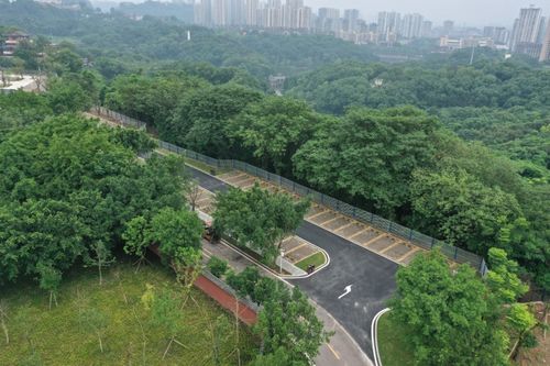 太谷周边菊花景区推荐(德兴智慧停车场系统)