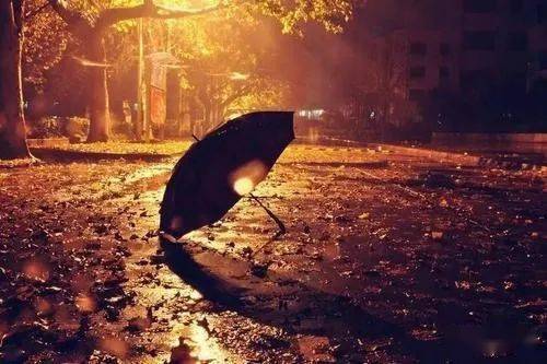 深秋雨夜，一股暖流涌入她颤抖的身体