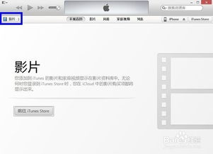 ôitunes( iTunes ָ򵥣Now Playing 2 for Mac)