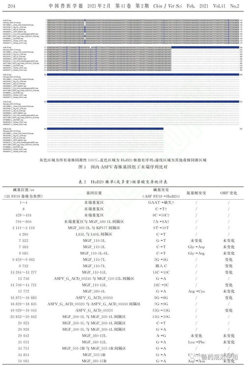 猪瘟毕业论文