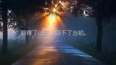 一声问候,情真意切