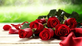 玫瑰花一年开几次 玫瑰多久开一次花